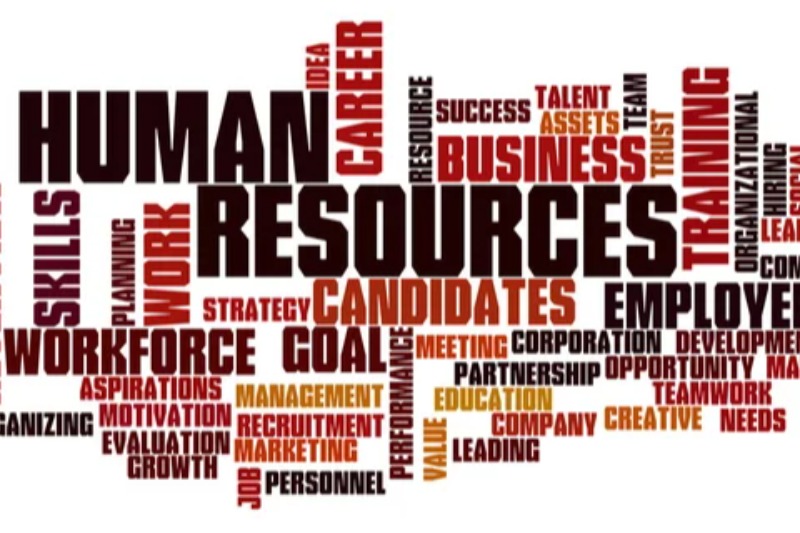 Hiring Freeze? Headhunter Masih Relevan Lewat Talent Mapping